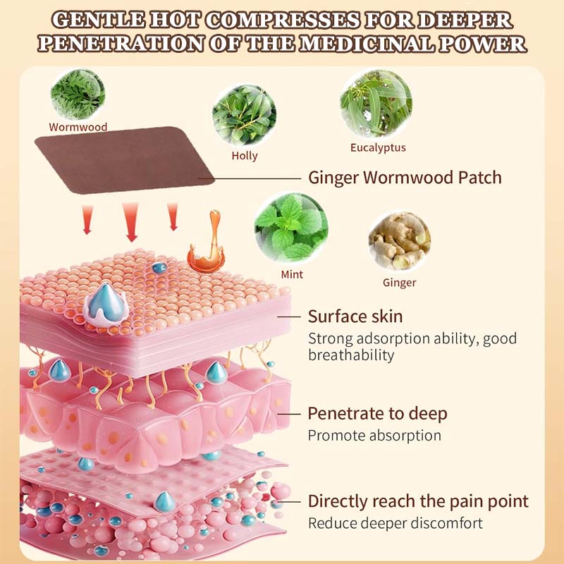 🔥2025 Hete verkoo 🎁Malmört Moxibustion Gewrichtspleisters