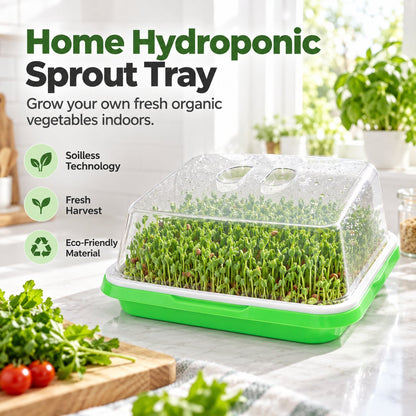 🌱🥬 Hydroponische Kweekbak voor Kiemplantjes – Kweek Zelf Verse Groenten Zonder Potgrond