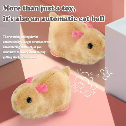 🔥Laatste dag: 50% KORTING 🐱 Slimme Interactieve Kattenbal – Speel, Jaag & Ontdek! 🐭✨🎾
