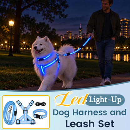 🐾✨LED-verlichte hondenharnas- en riemset