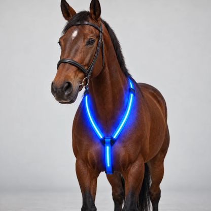 🐎💡 Verlichte Rijset – Zie en Word Gezien in het Donker!