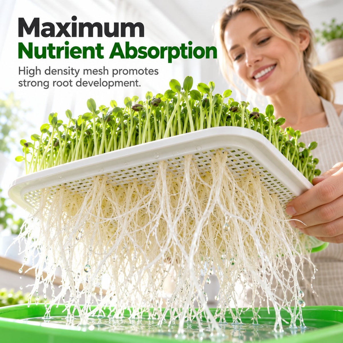 🌱🥬 Hydroponische Kweekbak voor Kiemplantjes – Kweek Zelf Verse Groenten Zonder Potgrond