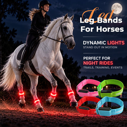 🐴✨ LED Verlichte Paardenbeenstrips – Laat Je Paard Schitteren in het Donker!