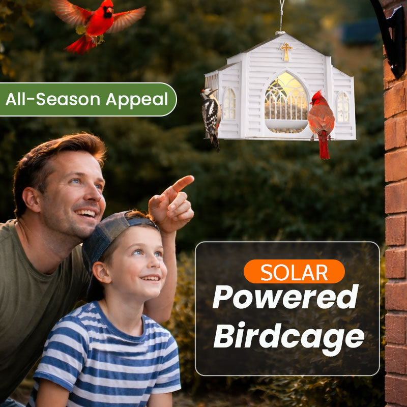 Een Schattige Kerk Voor Je Tuinvogels! ⛪🐦🌼