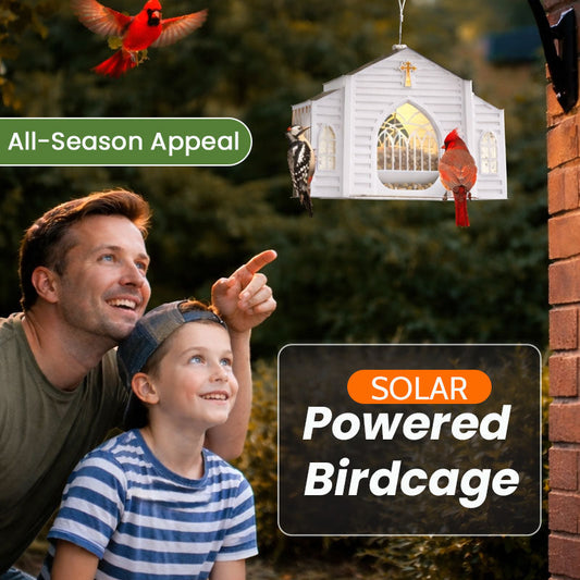 Een Schattige Kerk Voor Je Tuinvogels! ⛪🐦🌼