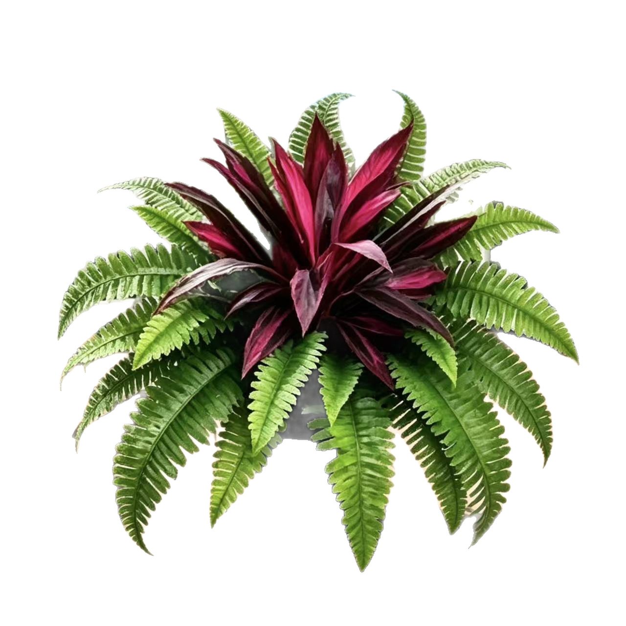 💥Zomeraanbieding🔥UV-bestendige kunstvaren en rode dracaena als decoratieve planten – vol, weelderig en kleurvast!