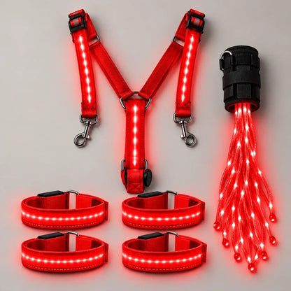 🌟✨ 6-delige LED-veiligheidsuitrusting voor paarden met nachtverlichting 🐎