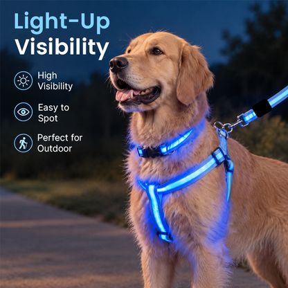 🐾✨LED-verlichte hondenharnas- en riemset