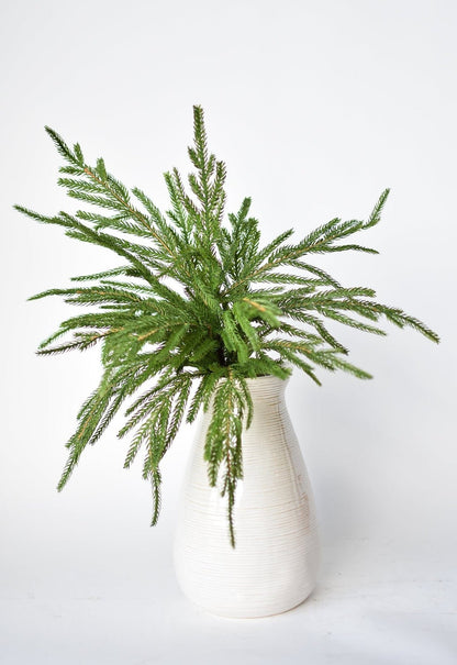 🎄Beautiful Christmas Special 49%🎄Norfolk Pine Branch
