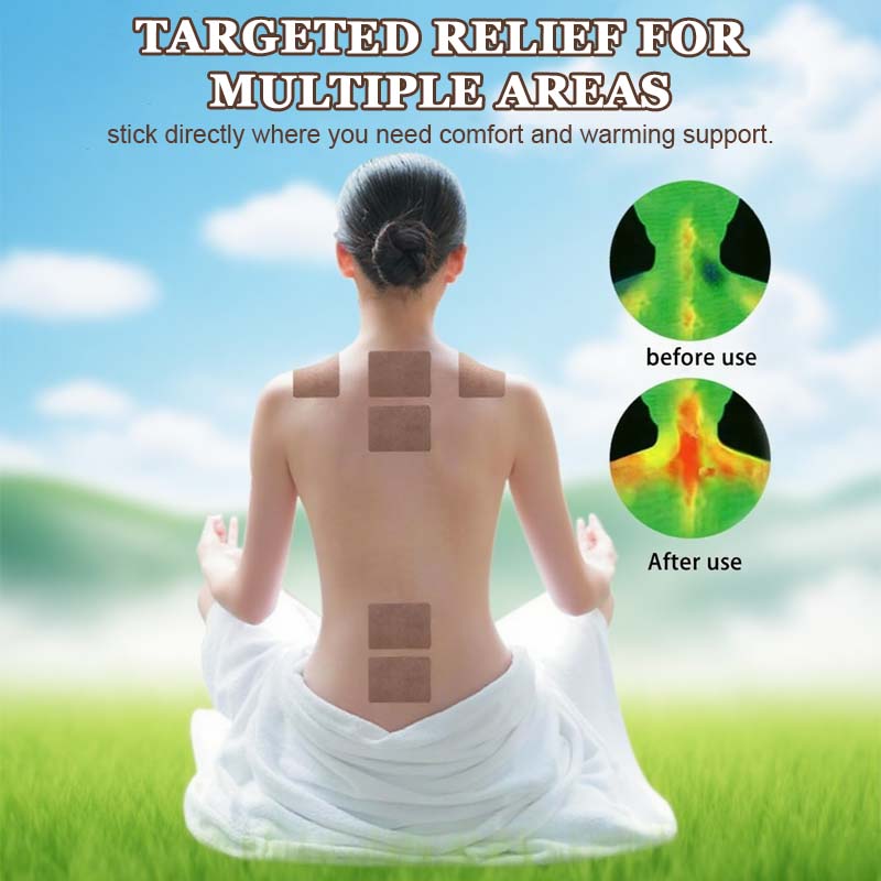 🔥2025 Hete verkoo 🎁Malmört Moxibustion Gewrichtspleisters