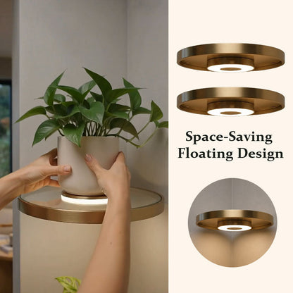 💡 De ultieme 2-in-1 zwevende LED-plank: geometrische wanddecoratie en zacht sfeerverlichting! 🌿