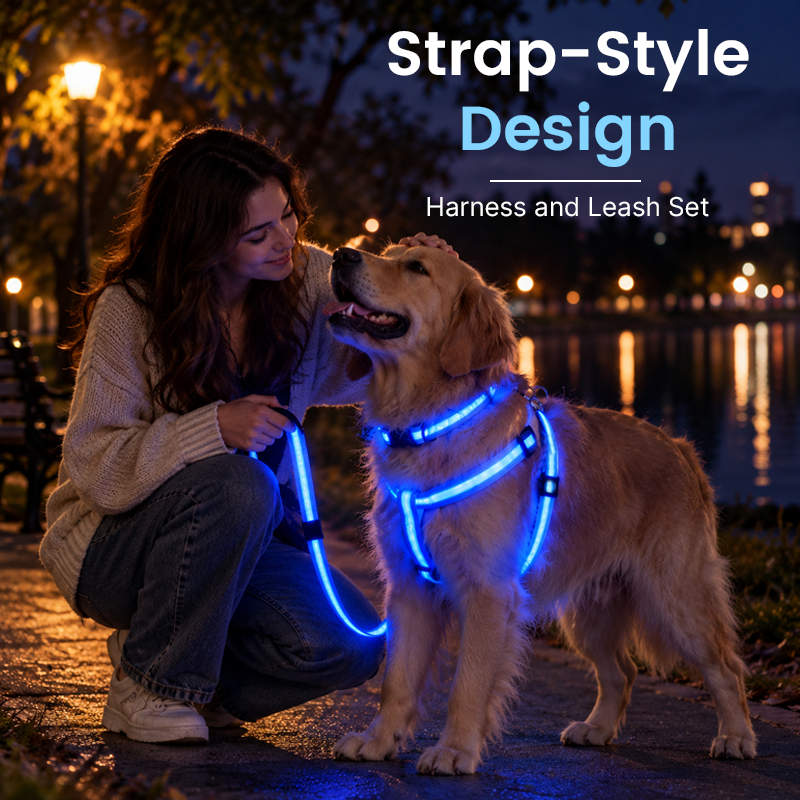 🐾✨LED-verlichte hondenharnas- en riemset