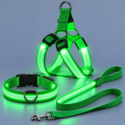 🐾✨LED-verlichte hondenharnas- en riemset