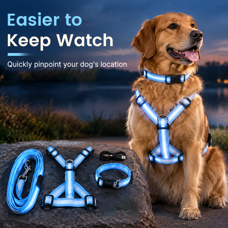 🐾✨LED-verlichte hondenharnas- en riemset