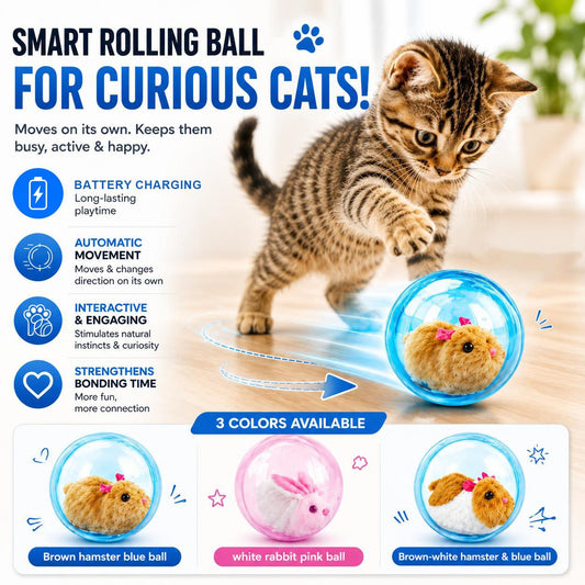 🔥Laatste dag: 50% KORTING 🐱 Slimme Interactieve Kattenbal – Speel, Jaag & Ontdek! 🐭✨🎾