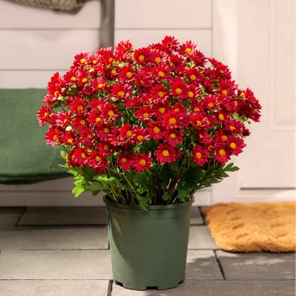 🌼- Kunstbloemen: chrysanten voor buiten die een zonsondergang nabootsen - UV-bestendig, waterdicht, windbestendig