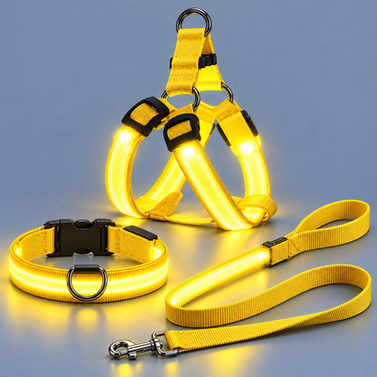 🐾✨LED-verlichte hondenharnas- en riemset