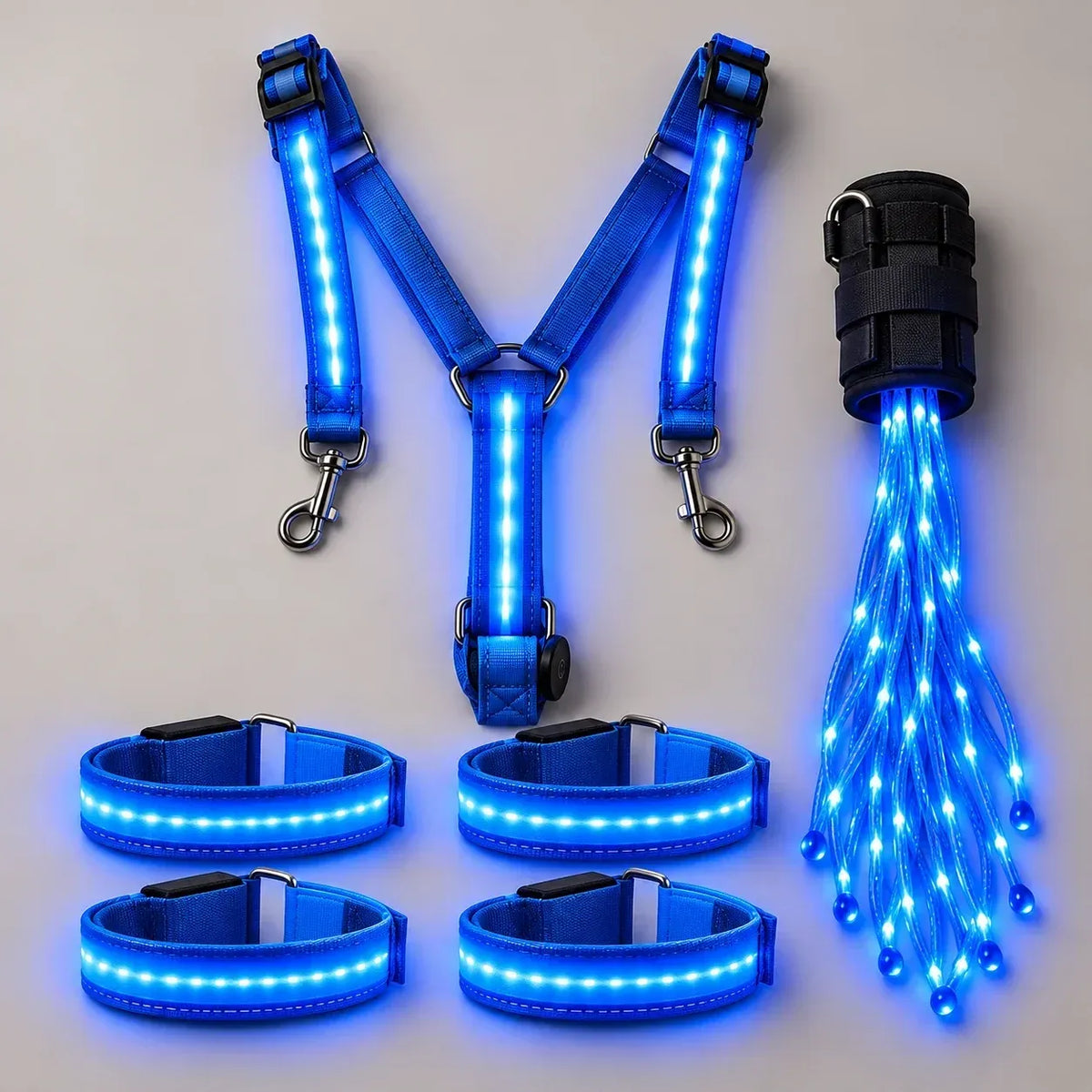 🌟✨ 6-delige LED-veiligheidsuitrusting voor paarden met nachtverlichting 🐎