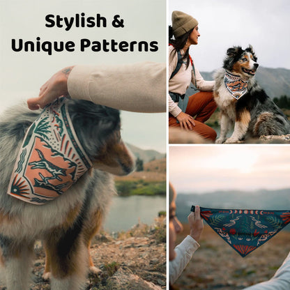 🐶 Slimme Honden Drinkbandana – Altijd Water Binnen Pootbereik! 💧🌿