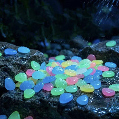Tover Elke Buitenruimte om tot een Lichtgevend Wonderland! 🌙🐻✨ Kleurrijke glow-in-the-dark tuinsteen