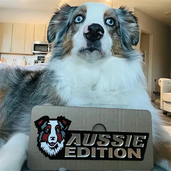Het Perfecte Hondenembleem voor Echte Dog Lovers! 🐕✨🚙 Emblemen voor autoruiten met hondenrassen