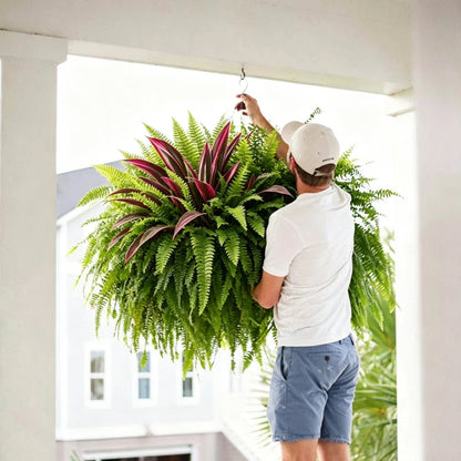 💥Zomeraanbieding🔥UV-bestendige kunstvaren en rode dracaena als decoratieve planten – vol, weelderig en kleurvast!