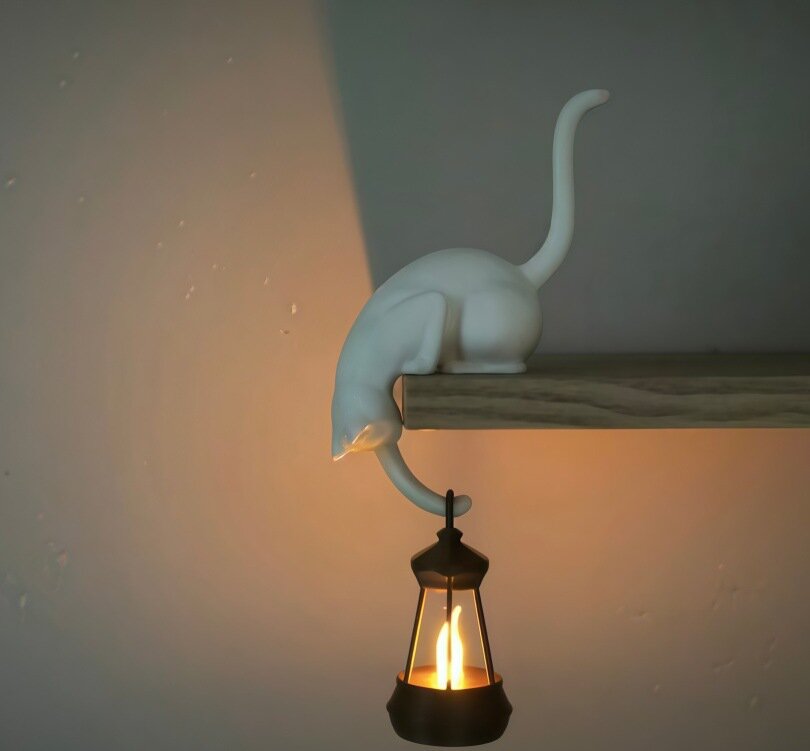 🐈‍⬛🗝️ Creatieve Zwarte Kattenstaart Sleutelhouder – Hanghaak voor Huisdecoratie 🏠