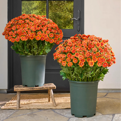 🌼- Kunstbloemen: chrysanten voor buiten die een zonsondergang nabootsen - UV-bestendig, waterdicht, windbestendig
