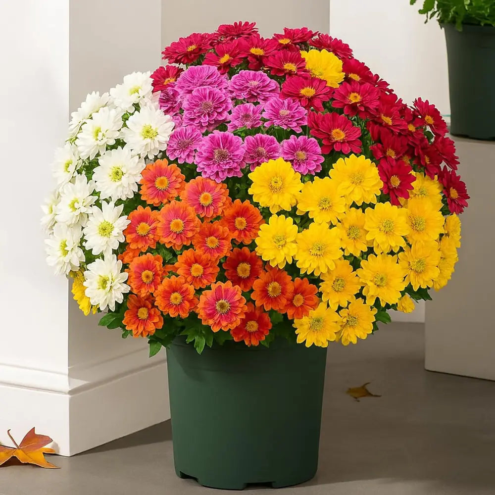 🌼- Kunstbloemen: chrysanten voor buiten die een zonsondergang nabootsen - UV-bestendig, waterdicht, windbestendig