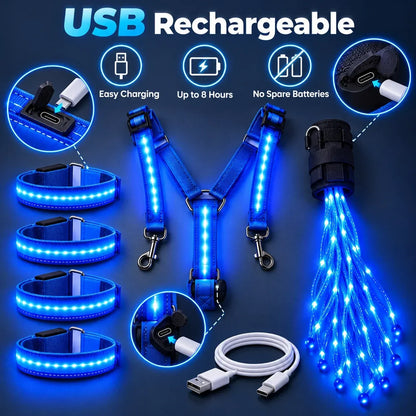 🌟✨ 6-delige LED-veiligheidsuitrusting voor paarden met nachtverlichting 🐎