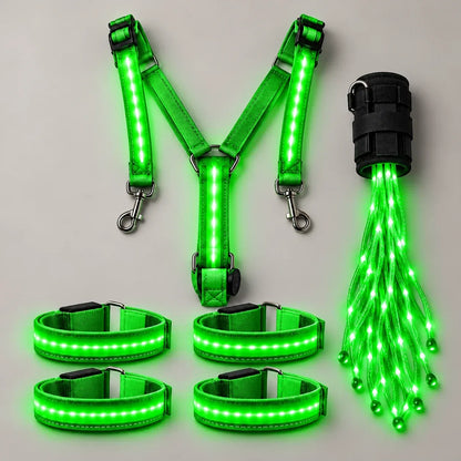 🌟✨ 6-delige LED-veiligheidsuitrusting voor paarden met nachtverlichting 🐎