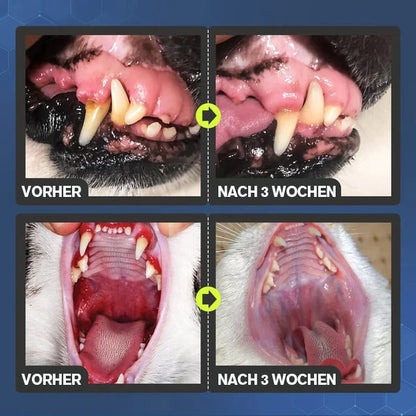 💥Aanbieden🔥Tandreinigingsspray voor honden en katten.