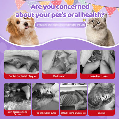 🔥1 + 1 GRATIS🔥 🦷 Een Simpele Manier Voor Betere Huisdierenverzorging 🐶✨
