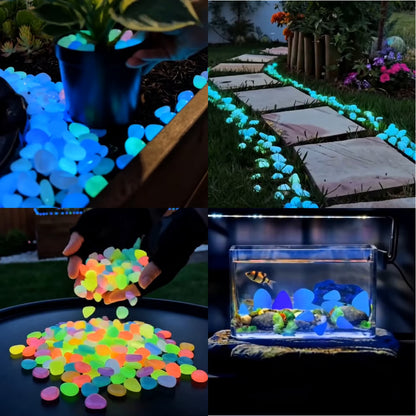 Tover Elke Buitenruimte om tot een Lichtgevend Wonderland! 🌙🐻✨ Kleurrijke glow-in-the-dark tuinsteen
