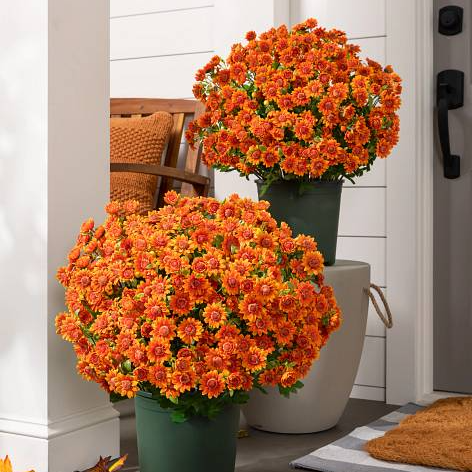 🌼- Kunstbloemen: chrysanten voor buiten die een zonsondergang nabootsen - UV-bestendig, waterdicht, windbestendig
