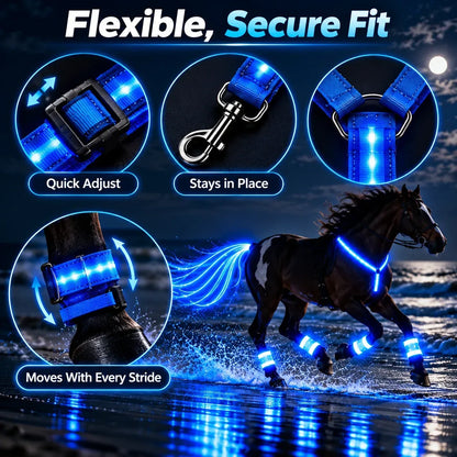 🌟✨ 6-delige LED-veiligheidsuitrusting voor paarden met nachtverlichting 🐎