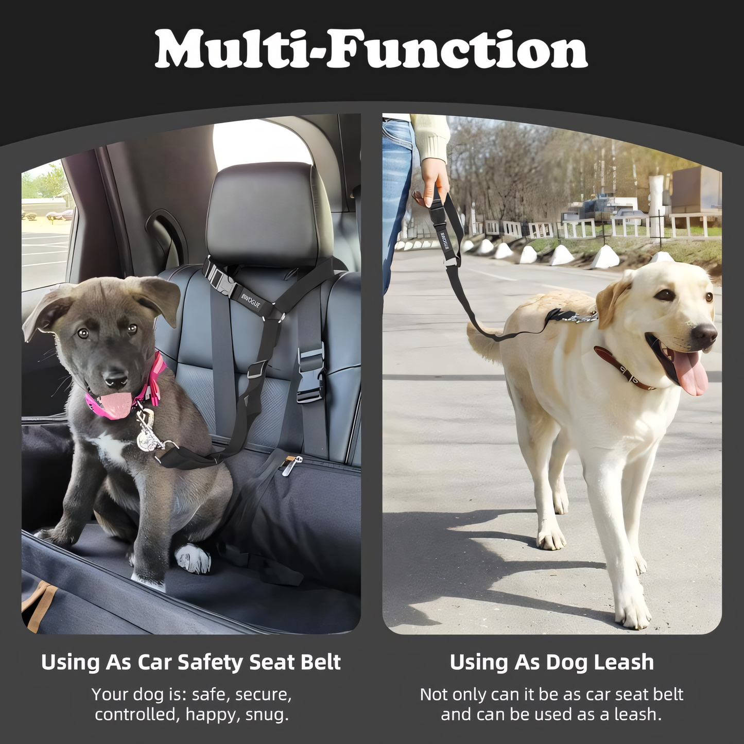 🐕🚙 Slimme 2-in-1 Hond Autogordel – Veilig Onderweg, Overal! ✨