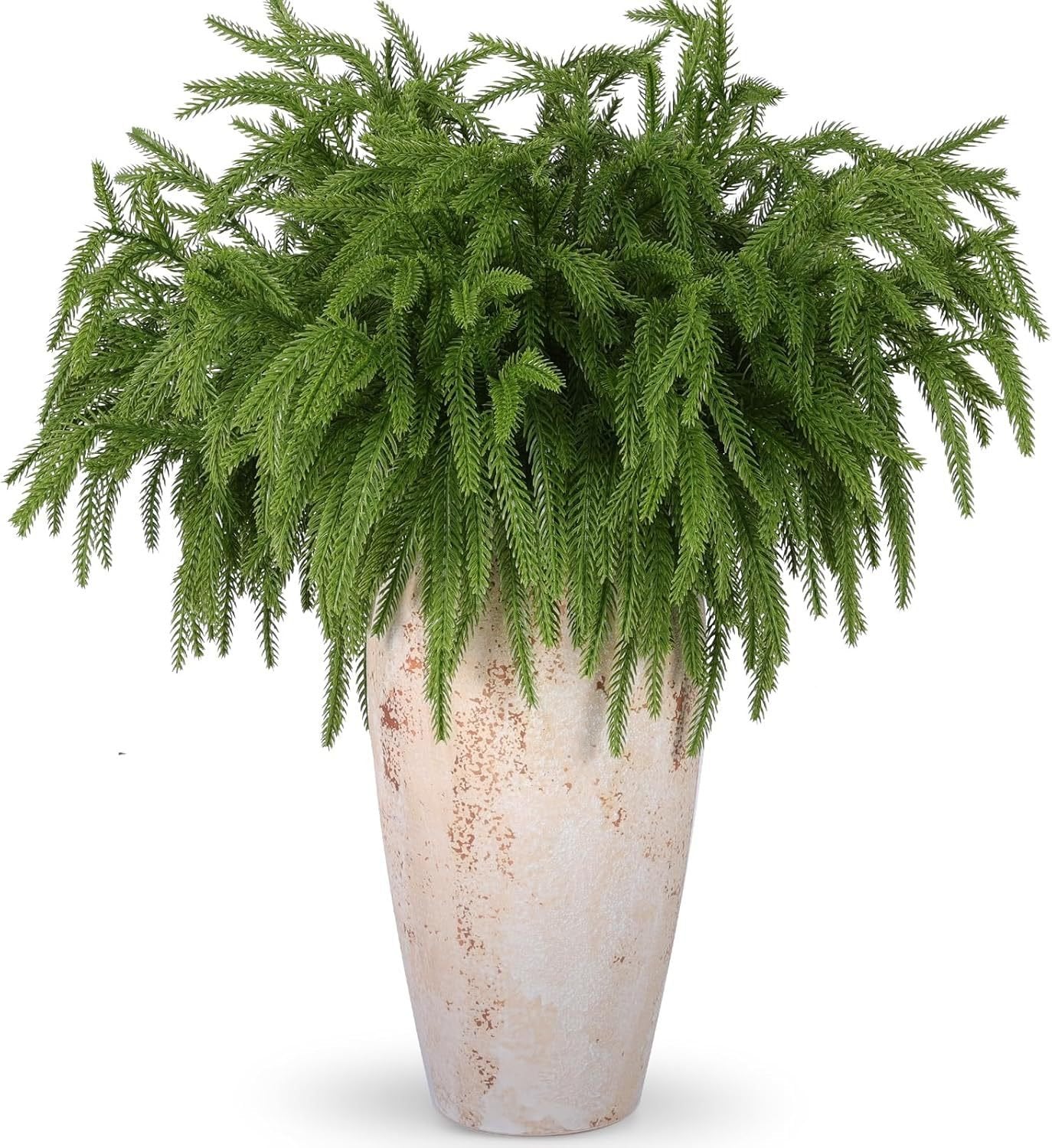 🎄Beautiful Christmas Special 49%🎄Norfolk Pine Branch