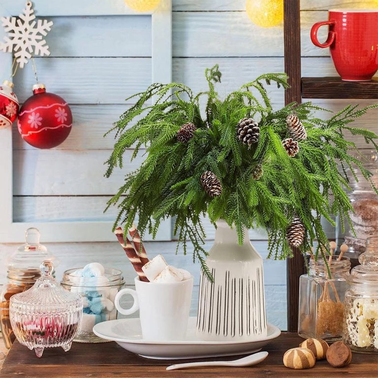 🎄Beautiful Christmas Special 49%🎄Norfolk Pine Branch