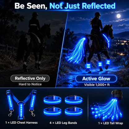 🌟✨ 6-delige LED-veiligheidsuitrusting voor paarden met nachtverlichting 🐎