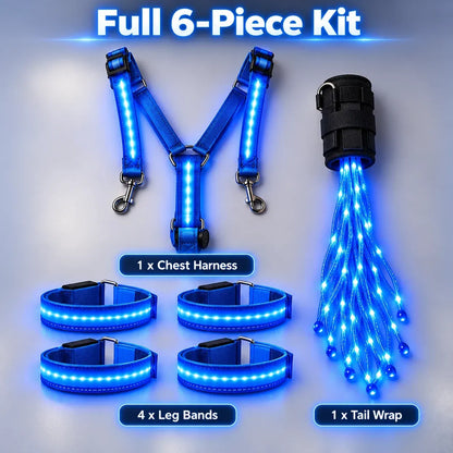 🌟✨ 6-delige LED-veiligheidsuitrusting voor paarden met nachtverlichting 🐎