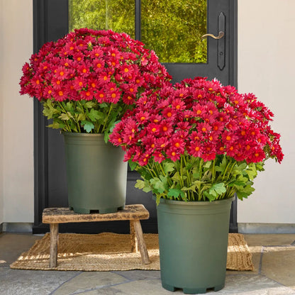 🌼- Kunstbloemen: chrysanten voor buiten die een zonsondergang nabootsen - UV-bestendig, waterdicht, windbestendig