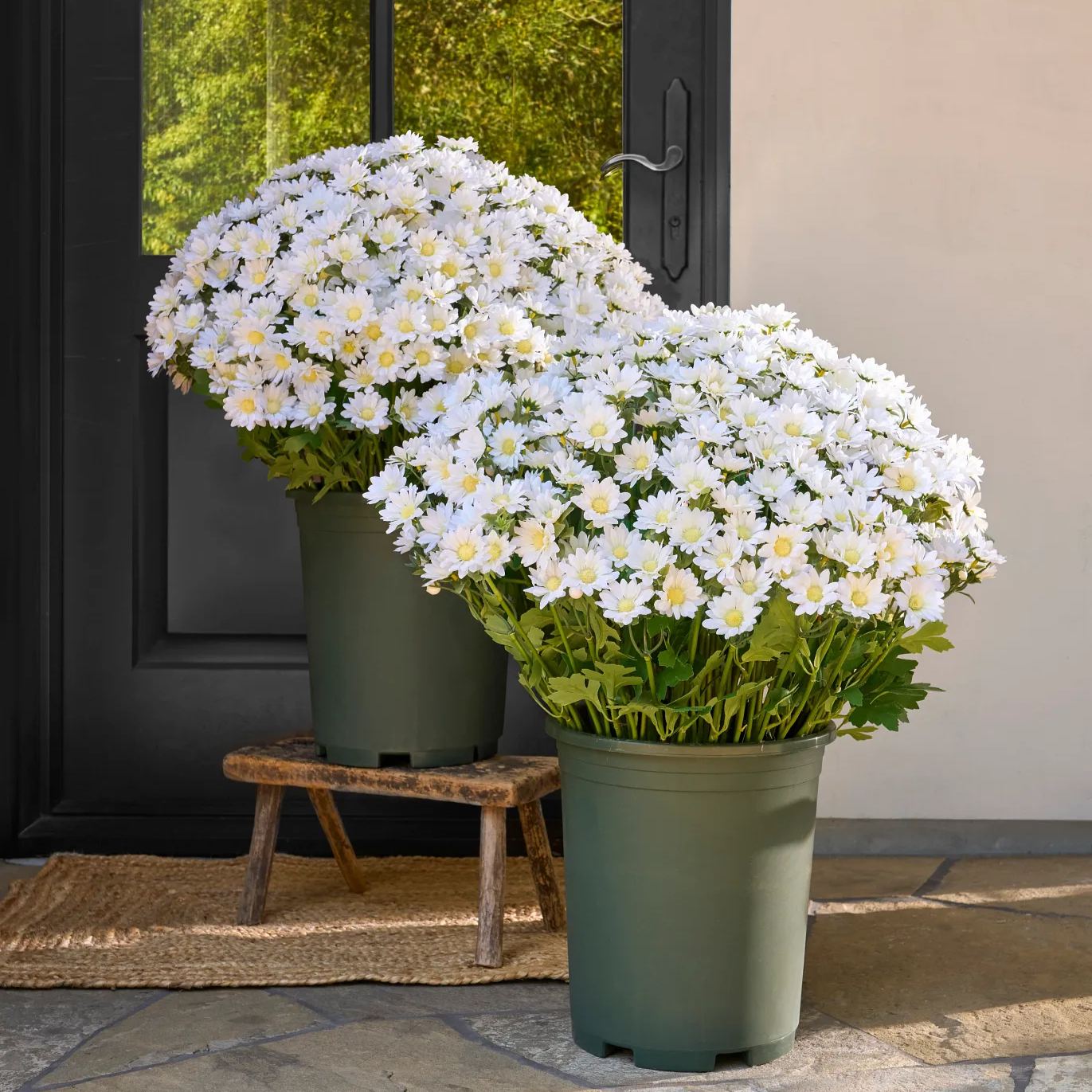 🌼- Kunstbloemen: chrysanten voor buiten die een zonsondergang nabootsen - UV-bestendig, waterdicht, windbestendig