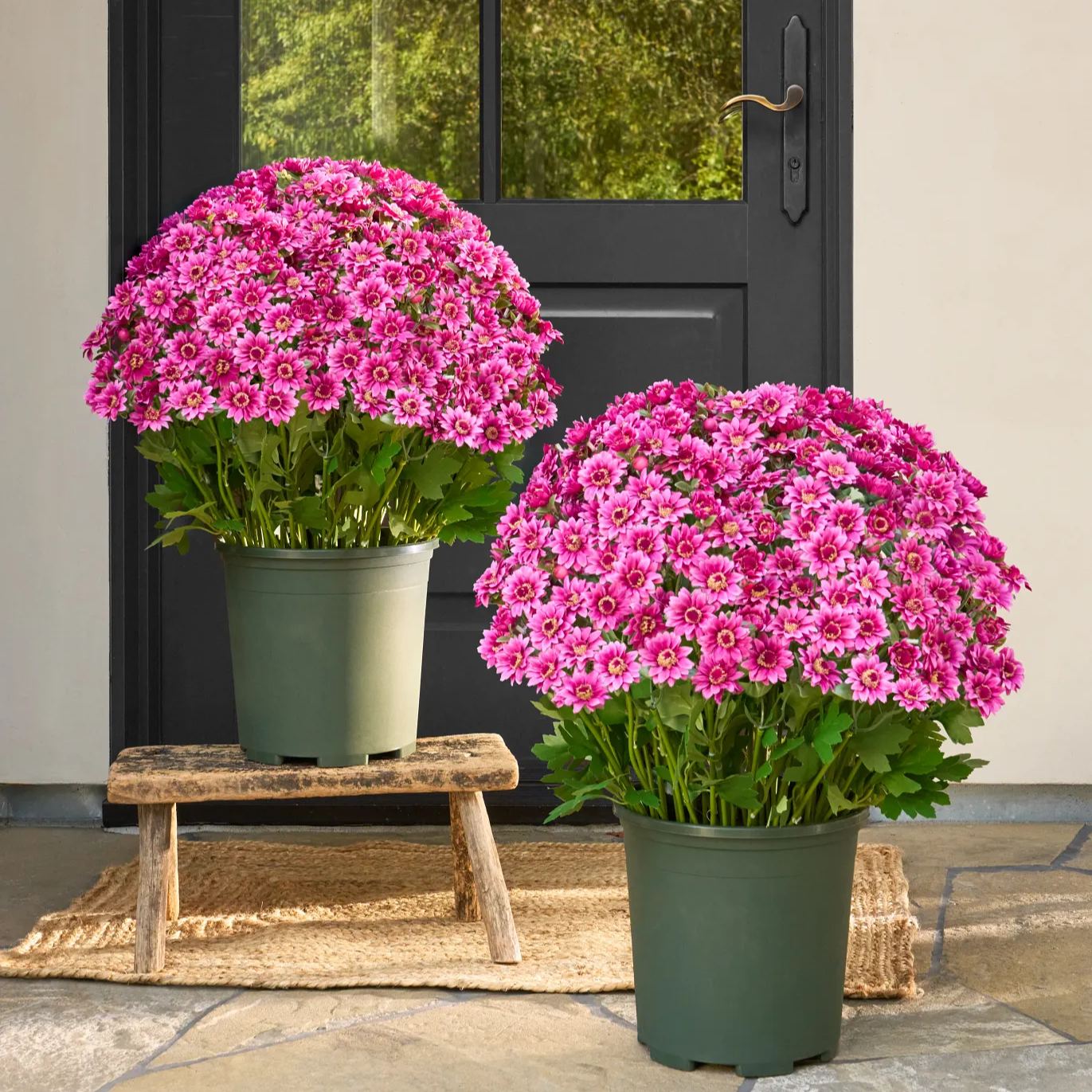 🌼- Kunstbloemen: chrysanten voor buiten die een zonsondergang nabootsen - UV-bestendig, waterdicht, windbestendig
