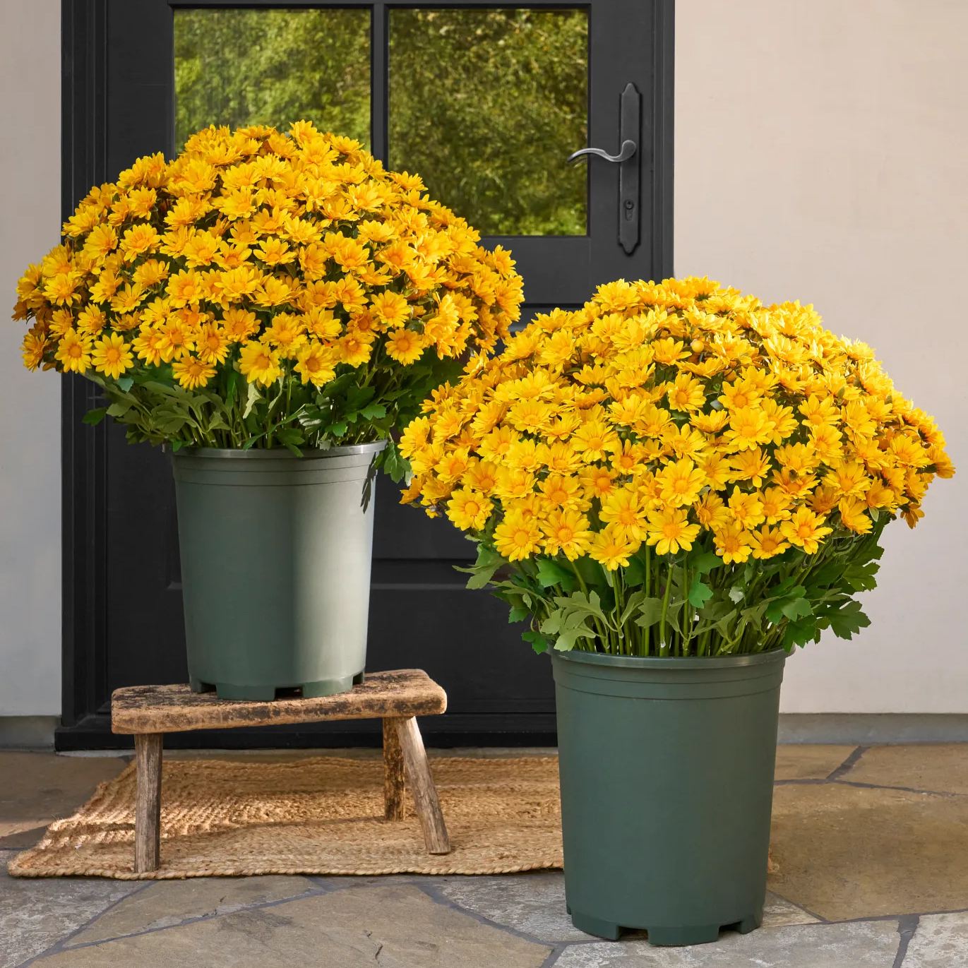 🌼- Kunstbloemen: chrysanten voor buiten die een zonsondergang nabootsen - UV-bestendig, waterdicht, windbestendig