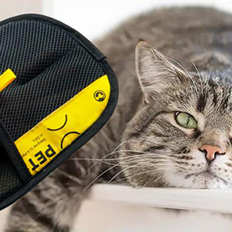 Dubbelzijdige Handschoenen Voor Het Verzorgen Van Huisdieren
