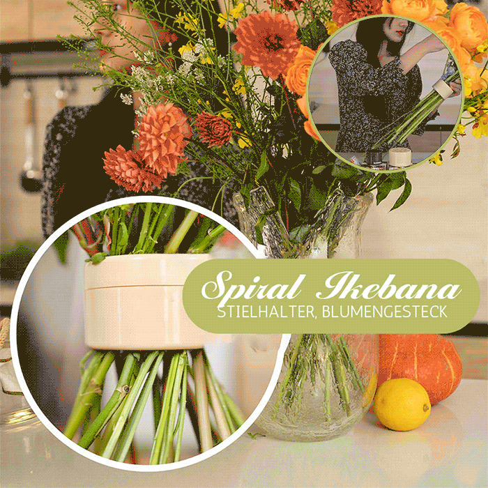 Spiraalvormige Ikebana Stengelhouder